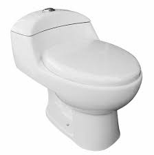 WASSER SANITARIO BLANCO DUAL FLUSH